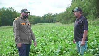 Fall Plot Scouting A Brassica Blend Plot