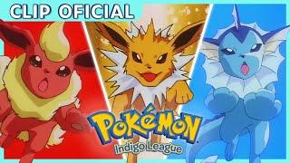 ¡Fiesta de evoluciones! | Pokémon: Liga Añil | Clip oficial