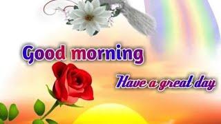 Ep-67/Good morning wishes with Beautiful images/Goodmorningvideostatus.subscribe @smilingthulasi3686