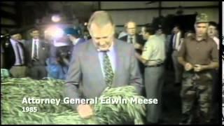 The Global Hemp Revolution (Documentary)