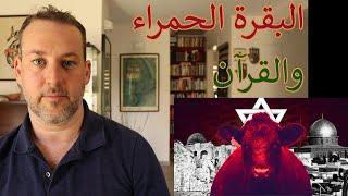 جدال // البقرة الحمراء والقرآن