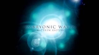 Embryonic Waves (Ambient Music)