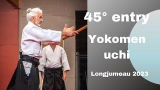 Aikido Bruno Gonzalez - Yokomen uchi 45°