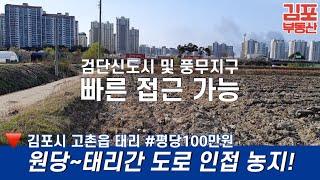 평당100만원 검단신도시 풍무지구 빠른 접근 가능한 원당태리간 도로 인접 고촌 태리 농지 매매 /김포부동산, 김포복덕방, 김포토지매매, 김포토지