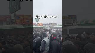 Митинг на рынке «Дордой» 30 ноября 2023 год