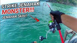 Strike JENAHAK MONSTER!!! ( Saiz Hampir 5kg! )