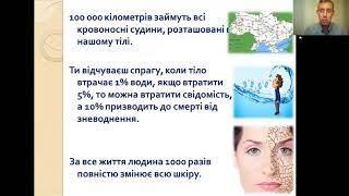 Холистический подход к здоровью. Александр Назимко.