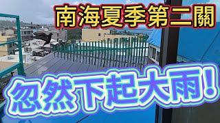 24年南海夏季賽鴿第二關，精彩慢動作歸返時刻！ #養鴿 #鴿舍 #選手鴿 #屏東 #星塵鴿舍 #東港東隆 #1188