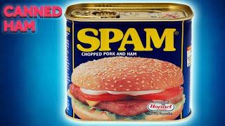 How Has SPAM Stayed So Popular?