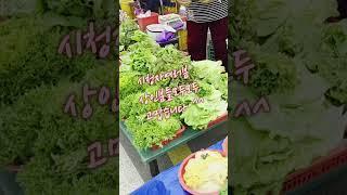 #원주새벽시장 #유튜브 #된장언니 #구독#구독자 만명돌파#고맙습니다#쇼츠 #shorts #풍경 #원주 #새벽시장 #브이로그
