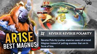 How AR1SE use the "REVERSE REVERSE POLARITY" Facets on MAGNUS?