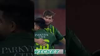 Shaheen Afridi All Wickets vs New Zealand in T20 Series in 2023 #Shorts