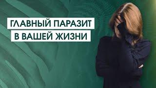 Жизнь с оглядкой на других | Как стыд управляет вашей жизнью | Чувство стыда и его последствия