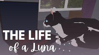 The Life of a Luna - A WCUE Documentary