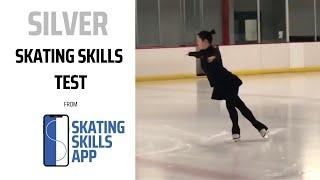 Silver Skating Skills Test (formerly the Novice Moves in the Field Test)