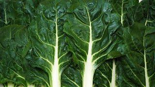 Swiss chard side dish recipe.