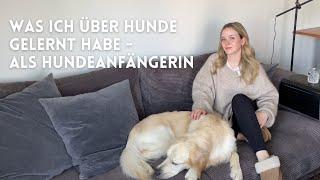 Was ich über HUNDE GELERNT habe - als Hundeanfängerin