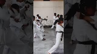 VIPER KARATE CLUB STUDENTS ||  KATA PRACTICE #shortvideo #shotokan #shorts #karate #kata