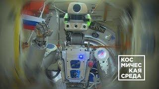 Космическая среда № 249 от 4 сентября 2019 года