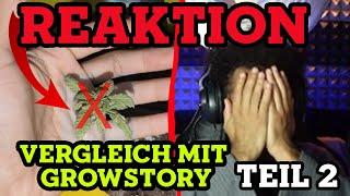 Alles in die TONNE?! Vergleich mit Growstorys Afro Ace Reaktion