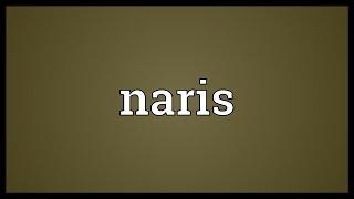 Naris Meaning