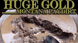 Huge Gold Nugget Paydirt from Montana Prospector 20 - 25 LBS