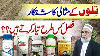 How to achieve Record production of Sesame || Crop Reformer