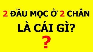 Những câu đố vui hay về đồ dùng học tập có đáp án