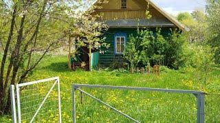 Арзон Уй 210.000 руб. 2.400$ Ери 50 сотих 40²м. Псков обл. деревня Собольки