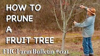 How to Prune a Fruit Tree - FHC Farm Bulletin #21