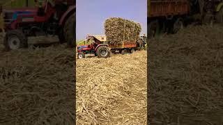 Mahindra Arjun Novo 605 DI Tractor heavy loaded sugarcane Trolley with JCB