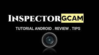 Intro Inspector Gcam