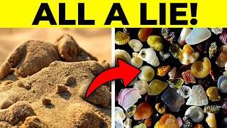 25 Astonishing Things You Can Only See Under a Microscope