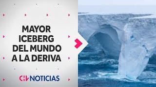 The BIGGEST iceberg in the world broke off and is drifting - CHV News