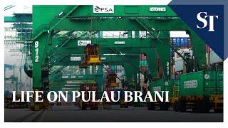 Life on Pulau Brani | The Strait Times