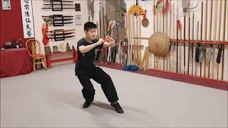 Danny Nguyen - 8 years hung kuen training