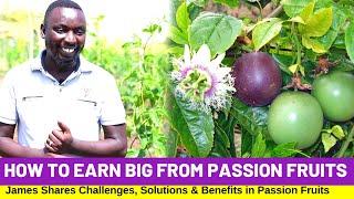 Passion Fruit Farming - How To Start and Make Millions (TIPS 2022)