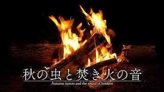 Autumn insects and the sound of a bonfire