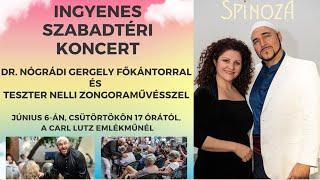 Nógrádi Gergely szabadtéri koncertje /Spinoza Utcafesztivál/ - részlet - ALE BRIDER