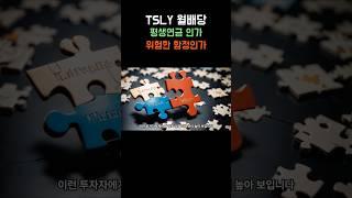 [TSLY 월배당] 평생연금 인가? 위험한 함정인가? #TSLY #평생연금 #월배당