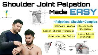 SHOULDER JOINT PALPATION : IMPROVE YOUR PALATORY ASSESSMENT SKILLS