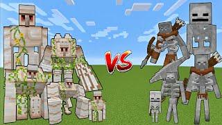 IRON GOLEM vs SKELETON AT EVERY AGE | Minecraft Mobs Fight #minecraft