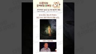 이게 뭐지? 실시간 길 가다 발견한 것들＃유머 #유머짤 #웃긴동영상