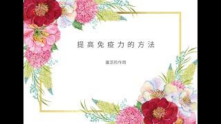 靈芝提高免疫力的方法 (普通話)