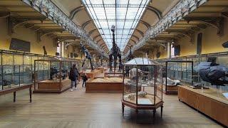 Walking in Paris【4K】Muséum national d'Histoire naturelle