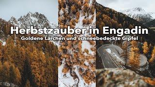 Herbstzauber in Engadin | Goldene Lärchen und schneebedeckte Gipfel