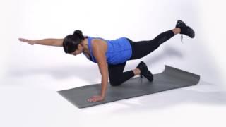 Quadruped Exercises