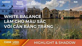 White Balance - Làm chủ màu sắc với cân bằng trắng