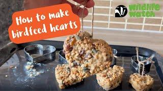 Wildlife Wednesday: Birdfeed hearts