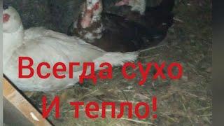 В утятнике всегда сухо и тепло! /Поилка для индоуток! всё гениальное просто!!